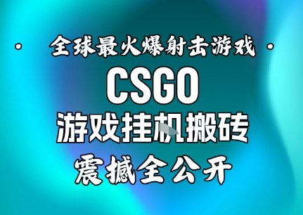 【年底大揭秘】基于全球最火爆的射击CSGO游戏挂G搬砖，日入5张+，震撼公开-AI学习资源网