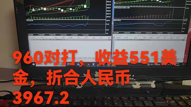 图片[1]-稳定8年的美刀搬砖项目，单人每日收益800—3000.团队4人月入10W+.可线下-AI学习资源网