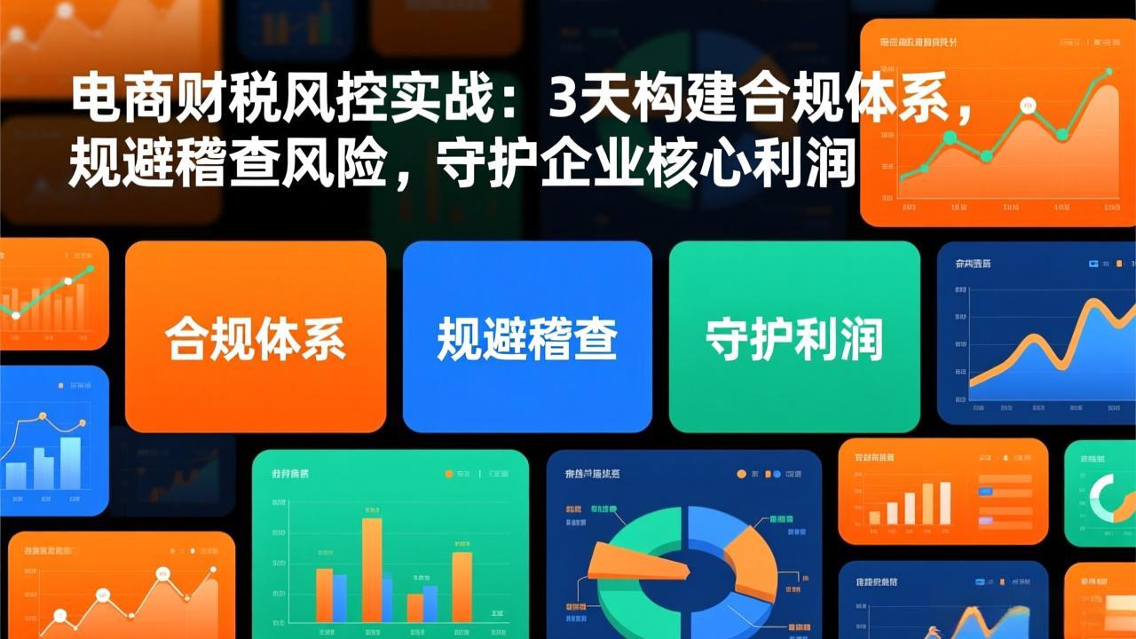 电商财税风控实战：3天构建合规体系，规避稽查风险，守护企业核心利润-AI学习资源网