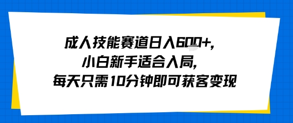 成人技能赛道日入多张，小白新手适合入局，每天只需10分钟即可获客变现-AI学习资源网