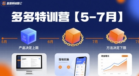 多多特训营【5-7月】产品决定上限，方法决定下限，各种玩法技巧落地实操-AI学习资源网