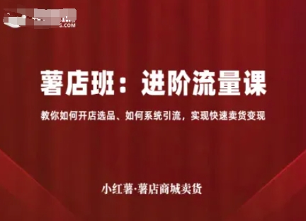 小红薯薯店商城卖货，进阶流量课，教你如何开店选品、如何系统引流，实现快速卖货变现-AI学习资源网