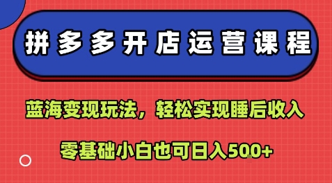 拼多多开店运营课程：蓝海变现玩法，轻松实现睡后收入，零基础小白也可日入5张-AI学习资源网