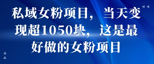 私域女粉项目，当天变现超1k，这是最好做的女粉项目，可放大操作-AI学习资源网