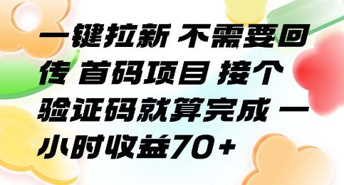 一键拉新 不需要回传 首码项目 接个验证码就算完成 一小时收益70+【揭秘】-AI学习资源网