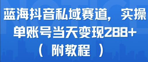 蓝海抖音私域赛道，实操单账号当天变现288+(附教程)-AI学习资源网