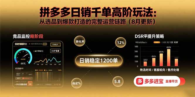 拼多多日销千单高阶玩法：从选品到爆款打造的完整运营链路(8月更新-AI学习资源网